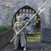 Human Paladin Knight Fighter with Polearm | 28mm, 32mm, 75mm Scales | Pathfinder Figure | DnD 5e | The Printing Goes Ever On | | - Only-Games