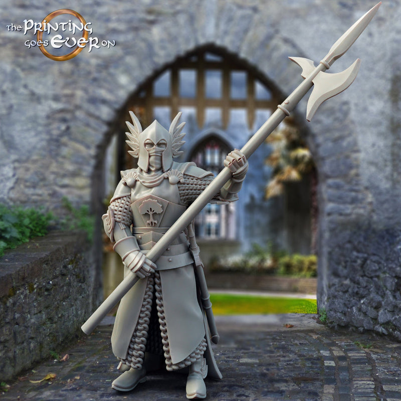 Human Paladin Knight Fighter with Polearm | 28mm, 32mm, 75mm Scales | Pathfinder Figure | DnD 5e | The Printing Goes Ever On | | - Only-Games