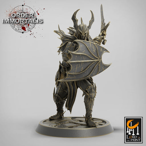 Fighter Sword and Shield, Oathbreaker Paladin,  Unpainted Miniature | 28mm, 32mm,75mm Scales | Dungeons and Dragons | Pathfinder | - Only-Games