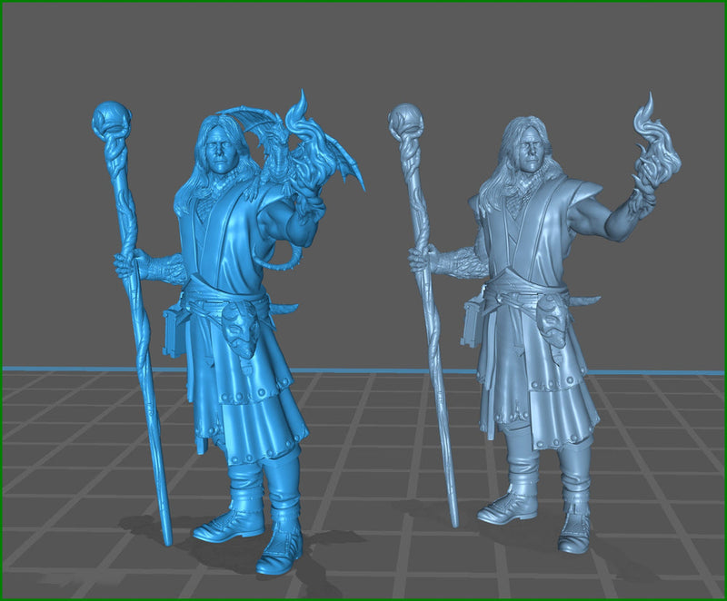 Male Elf Wizard Dragon Familiar, Warlock, Sorcerer|28mm|32mm |54mm|75mm,100mm Scale-Player Character Mini D&D 5e Pathfinder Figurine - Only-Games