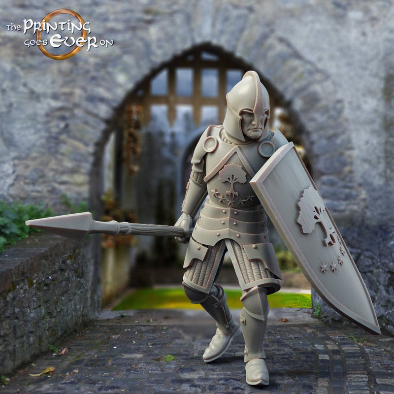 Fighter Soldier Spearman with shield  | 28mm Scale | 32mm Scale | 75mm Scale Pathfinder Figure | DnD 5e | The Printing Goes Ever on| - Only-Games