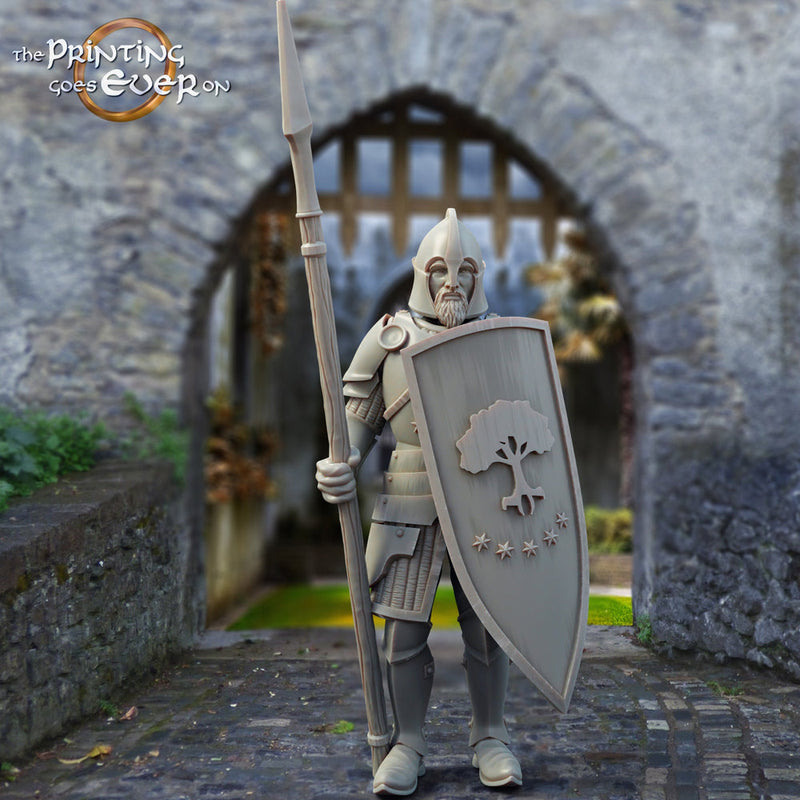 Fighter Soldier Spearman with shield  | 28mm Scale | 32mm Scale | 75mm Scale Pathfinder Figure | DnD 5e | The Printing Goes Ever on| - Only-Games
