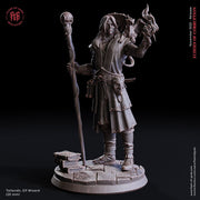 Male Elf Wizard Dragon Familiar, Warlock, Sorcerer|28mm|32mm |54mm|75mm,100mm Scale-Player Character Mini D&D 5e Pathfinder Figurine - Only-Games