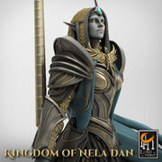 High Elf Female Lord Paladin, Moon Elf,  Eladrin  Unpainted Miniature | 28mm, 32mm,54mm,75mm Scales | Dungeons and Dragons | Pathfinder | - Only-Games