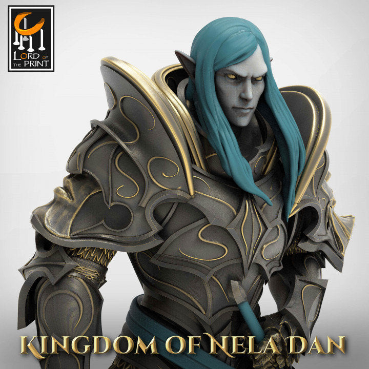 High Elf Lord Paladin, Moon Elf,  Eladrin  Unpainted Miniature | 28mm, 32mm,54mm,75mm, 100mm Scales | Dungeons and Dragons | Pathfinder | - Only-Games