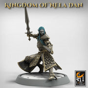 High Elf Two Weapon Master, Moon Elf,  Eladrin  Unpainted Miniature | 28mm, 32mm,75mm Scales | Dungeons and Dragons | Pathfinder | - Only-Games
