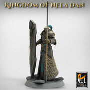 High Elf Praetaorian Spear and Shield , Moon Elf,  Eladrin Unpainted  | 28mm, 32mm,54mm,75mm Scales | Dungeons and Dragons | Pathfinder | - Only-Games