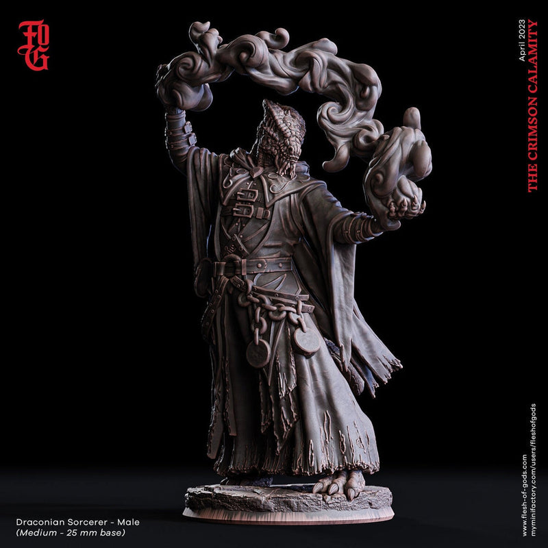 Male Dragonborn Sorcerer, Wizard, Warlock |28mm, 32mm,54mm,75mm, 100mm Scale Resin Miniature|Dungeons & Dragons |Pathfinder|Flesh of Gods - Only-Games