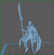Human Fighter Polearm Master Paladin Adventurer PC or NPC | 28mm, 32mm, 75mm Scales | Dungeons and Dragons | Pathfinder | Flesh of Gods - Only-Games