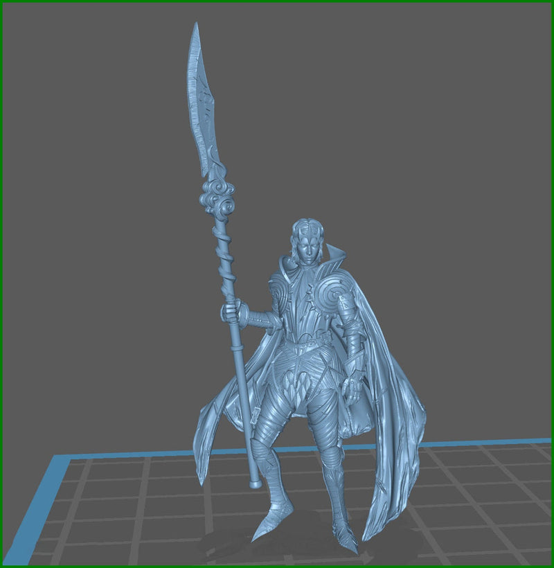 Human Fighter Polearm Master Paladin Adventurer PC or NPC | 28mm, 32mm, 75mm Scales | Dungeons and Dragons | Pathfinder | Flesh of Gods - Only-Games