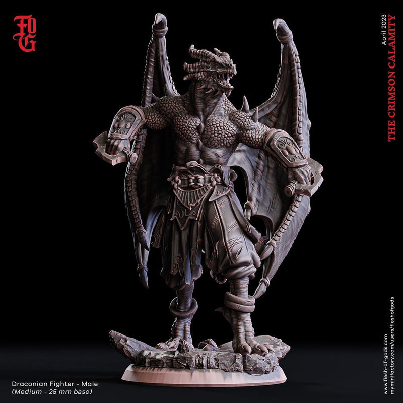 Dragonborn Fighter Brawler, Monk | 28mm, 32mm, 75mm Scale Resin Miniature | Dungeons and Dragons D&D 5e  | Pathfinder | Flesh of Gods - Only-Games