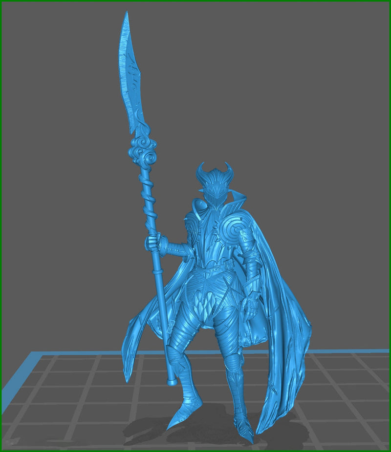 Human Fighter Polearm Master Paladin Adventurer PC or NPC | 28mm, 32mm, 75mm Scales | Dungeons and Dragons | Pathfinder | Flesh of Gods - Only-Games