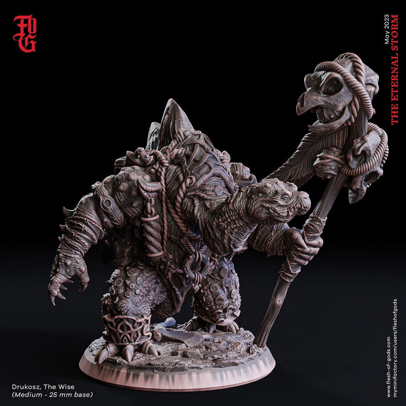 Tortle Druid Cleric Monk PC NPC | 28mm, 32mm,54mm,75mm Scales | Player Character Mini  -D&D 5e Pathfinder Figurine |Flesh of Gods - Only-Games