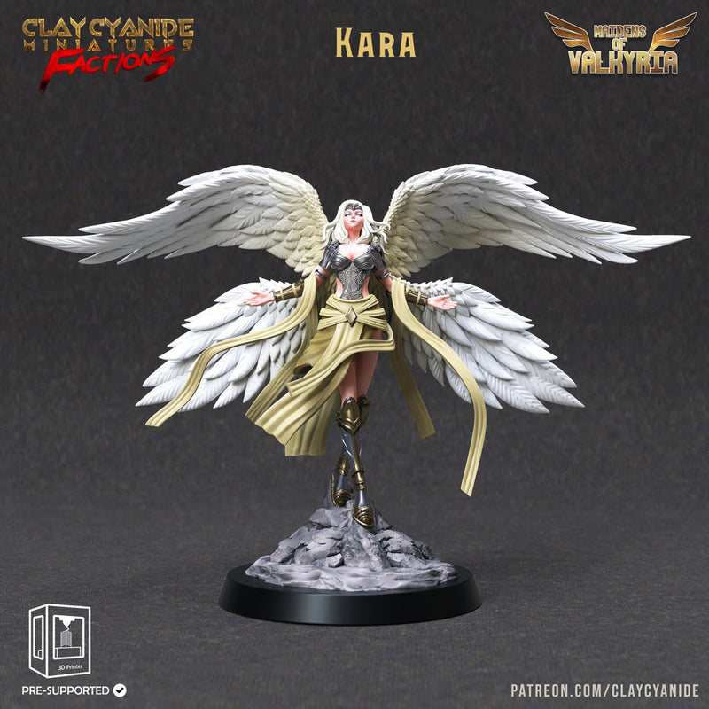 Female Valkyrie Angel Celestial Paladin of Vengeance | 28mm, 32mm, 75mm, 100m Scales | Dungeons and Dragons 5e/Pathfinder |Archvillain Games - Only-Games