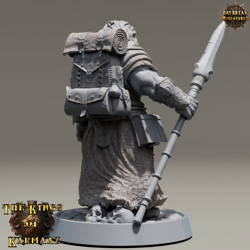 Leonin LionFolk Fighter Barbarian | 28mm, 32mm, 54mm, 75mm Scales,100mm Tall | Dungeons and Dragons D&D 5e | Pathfinder| Daybreak Miniatures - Only-Games