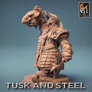 Dwarf Fighter Paladin Axe & Goblin Head Unpainted | 28mm, 32mm,54mm,75mm,100mm Scales | Dungeons and Dragons Pathfinder Lord of The Print - Only-Games