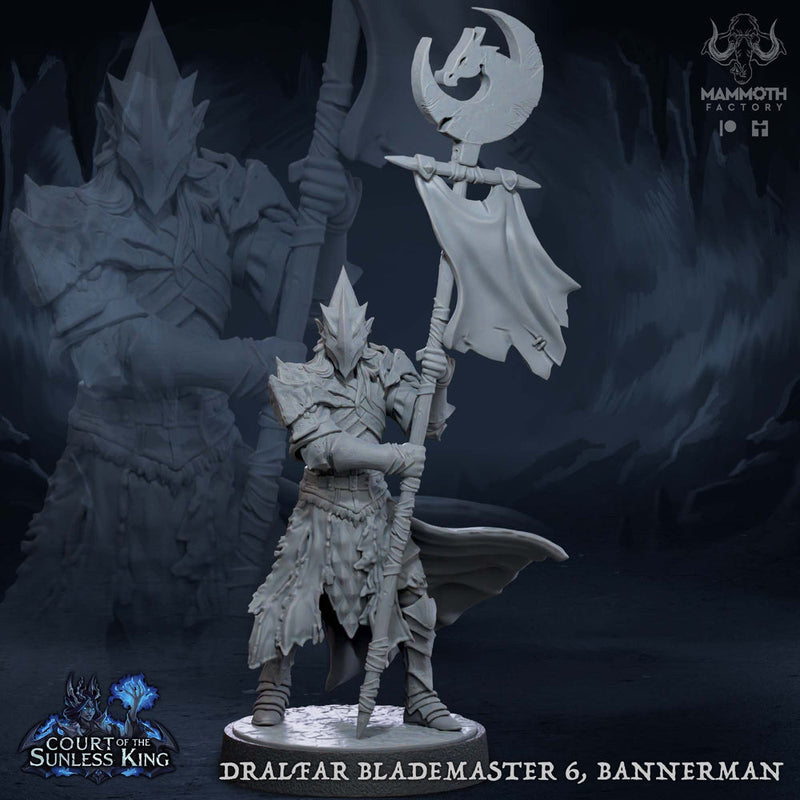 Dark Elf Fighter Ranger Bannerman PC / NPC Unpainted | 28mm,32mm,54mm,75mm,100mm Scale | Resin Dungeons and Dragons D&D 5e  | Pathfinder | - Only-Games