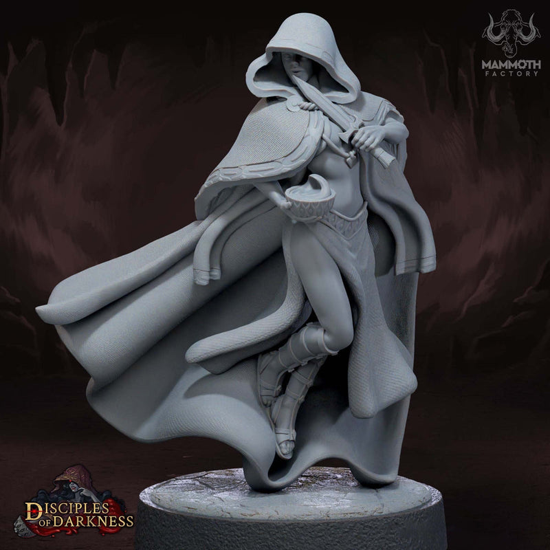 Female Assassin Rogue Thief PC or NPC D&D 5e Unpainted | 28mm, 32mm, 50mm,75mm,100mm | Dungeons and Dragons | Pathfinder | Mammoth Factory - Only-Games