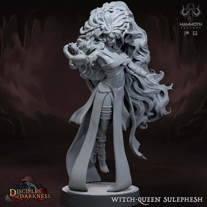 Female Sorcerer Warlock PC or NPC D&D 5e Unpainted | 28mm, 32mm, 50mm,75mm,100mm | Dungeons and Dragons | Pathfinder | Mammoth Factory - Only-Games