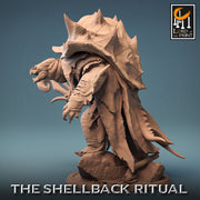 Tortle Druid Cleric Monk PC NPC | 5 Sizes /Scales | Player Character Mini -D&D Pathfinder - Only-Games
