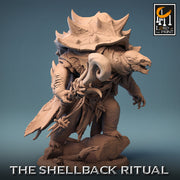 Tortle Druid Cleric Monk PC NPC | 5 Sizes /Scales | Player Character Mini -D&D Pathfinder - Only-Games