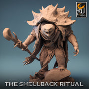 Tortle Druid Cleric Monk PC NPC | 5 Sizes /Scales | Player Character Mini -D&D Pathfinder - Only-Games