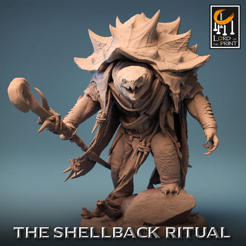 Tortle Druid Cleric Monk PC NPC | 5 Sizes /Scales | Player Character Mini -D&D Pathfinder - Only-Games