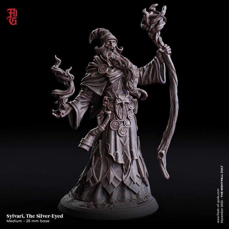 Wizard, Warlock, Sorcerer  | 28mm, 32mm,54mm, 75mm Scale|100mmTall |Player Character Mini- Minis -D&D 5e Pathfinder Figurine | Flesh of Gods - Only-Games