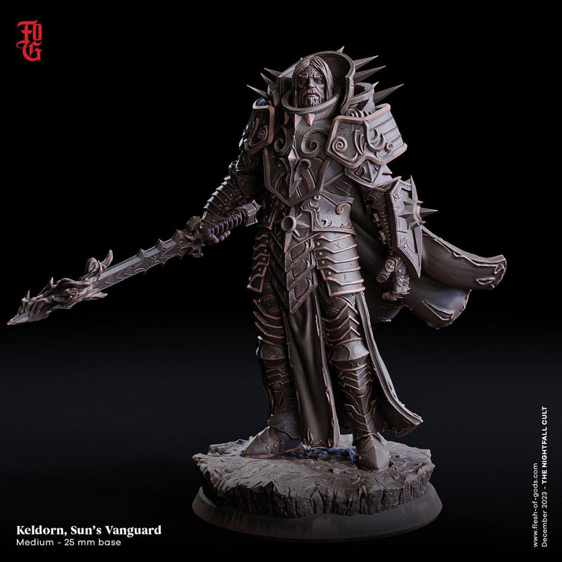 Oath of  Devotion Paladin, Cleric  | 28mm, 32mm, 54mm, 75mm Scales | 100mm Tall | Dungeons and Dragons | Pathfinder |Flesh Of Gods miniature - Only-Games