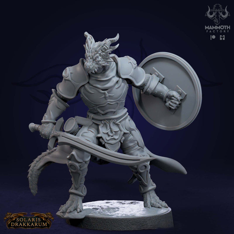 Dragonborn Fighter Sword n Shield  | 28mm,32mm,54mm,75mm,100mm Scale Resin Mini | Dungeons and Dragons D&D 5e | Pathfinder | Mammoth Factory - Only-Games