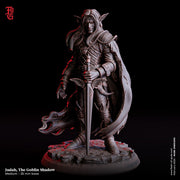 Goblin Rogue, Assassin, Gloom Stalker Ranger Hexblade | PC/ NPC | 28mm,32mm,54mm,75mm,100mm Scale | D&D 5e | Flesh of Gods - Only-Games