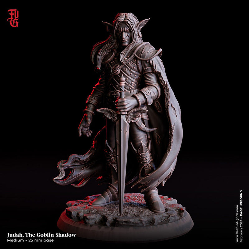 Goblin Rogue, Assassin, Gloom Stalker Ranger Hexblade | PC/ NPC | 28mm,32mm,54mm,75mm,100mm Scale | D&D 5e | Flesh of Gods - Only-Games