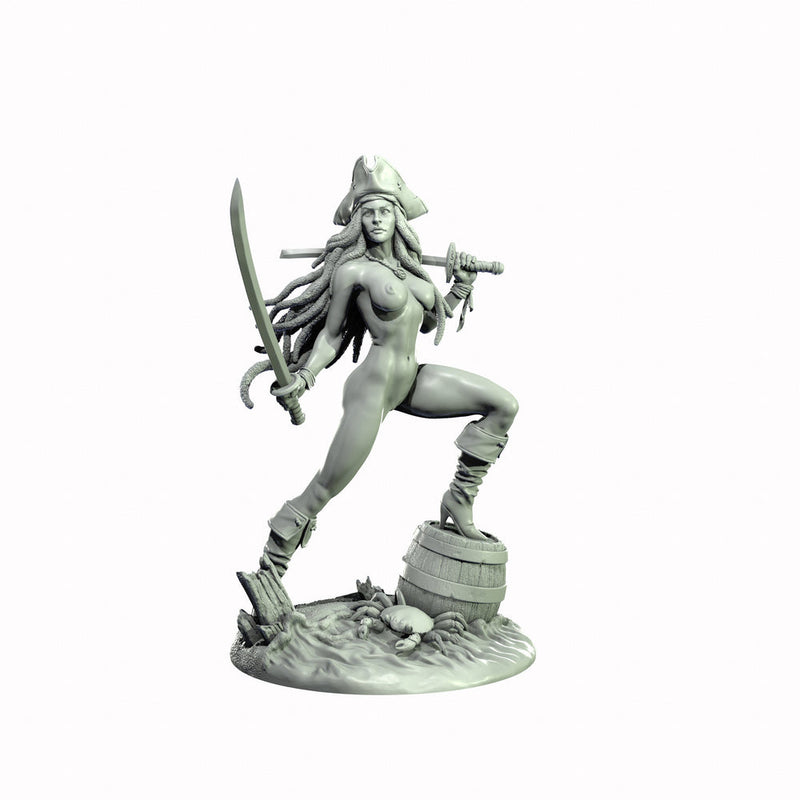 Human Female Pirate, Swashbuckler Rogue, Thief PC NPC Miniature NSFW Topless & Nude versions | 28mm,32mm,54mm,75mm,100mm Scales |DnD 5e - Only-Games