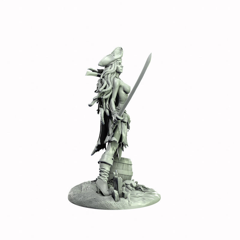 Human Female Pirate, Swashbuckler Rogue, Thief PC NPC Miniature NSFW Topless & Nude versions | 28mm,32mm,54mm,75mm,100mm Scales |DnD 5e - Only-Games