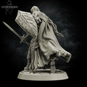 Elf Paladin with Sword and Shield and Elven Chainmail Armor PC NPC | 28mm,32mm,54mm, 75mm, 100mm Scales| Dungeons & Dragons| Pathfinder | - Only-Games