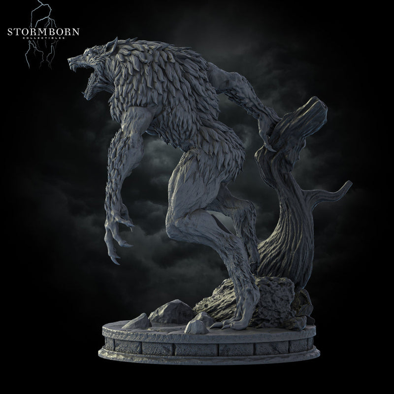 Werewolf Lycanthrope | Scales: 28mm,32mm,54mm,75mm,100mm | D&D 5e Megaboss | Dungeons and Dragons | Pathfinder | Stormborn Collectibles - Only-Games
