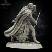 Elf Paladin with Sword and Shield and Elven Chainmail Armor PC NPC | 28mm,32mm,54mm, 75mm, 100mm Scales| Dungeons & Dragons| Pathfinder | - Only-Games