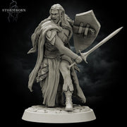 Elf Paladin with Sword and Shield and Elven Chainmail Armor PC NPC | 28mm,32mm,54mm, 75mm, 100mm Scales| Dungeons & Dragons| Pathfinder | - Only-Games