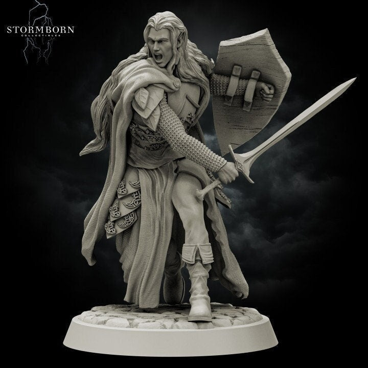 Elf Paladin with Sword and Shield and Elven Chainmail Armor PC NPC | 28mm,32mm,54mm, 75mm, 100mm Scales| Dungeons & Dragons| Pathfinder | - Only-Games