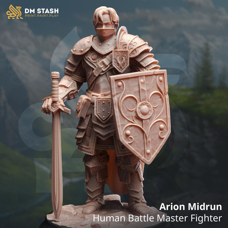 Male Human Fighter Battlemaster, Paladin PC / NPC | 28mm, 32mm,54mm, 75mm, 100mm Scales | Dungeons and Dragons | Pathfinder | DM Stash - Only-Games