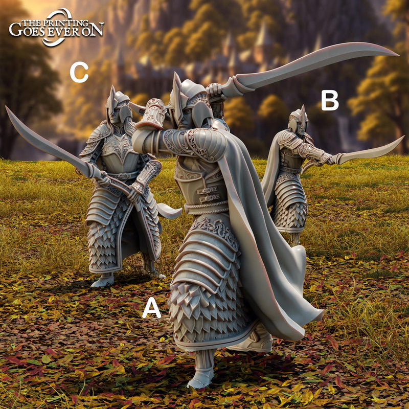 Elf Fighters, Paladin with Sword (3 poses )| Miniature | 28mm, 32mm,54mm,75mm, 100mm Scales | Pathfinder Figure | DnD | Figurine unpainted | - Only-Games