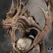 Flying Dragon Beast (4 sizes) D&D Miniature | Young, Adult, Huge, Gargantuan (183mm High) | Resin Statue| Figurine | Dungeons and Dragons 5e - Only-Games