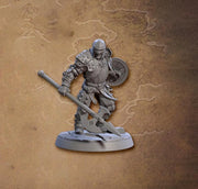 Human Fighter, Polearm Shield Platemail | 28mm,32mm,54mm,75mm,100mm Scale Resin Miniature Dungeons and Dragons D&D Pathfinder |Artisan Guild - Only-Games