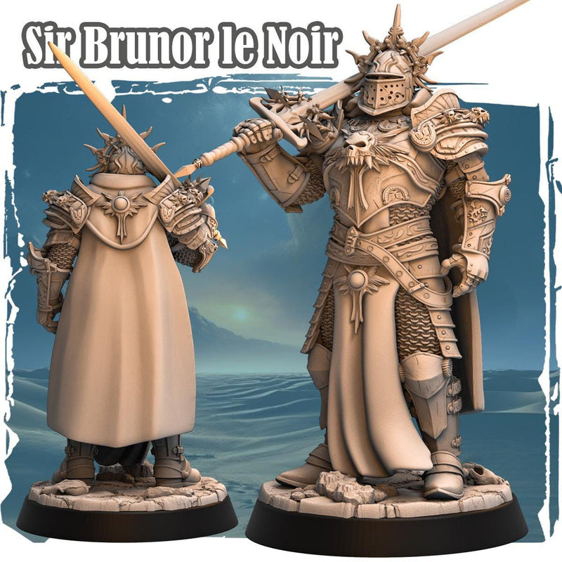 Human Paladin Fighter Sword & Full Platmail |Miniature | 28mm, 32mm, 54mm,75mm,100mm Scales | Pathfinder Figure | DnD | Figurine unpainted | - Only-Games