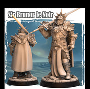 Human Paladin Fighter Sword & Full Platmail |Miniature | 28mm, 32mm, 54mm,75mm,100mm Scales | Pathfinder Figure | DnD | Figurine unpainted | - Only-Games