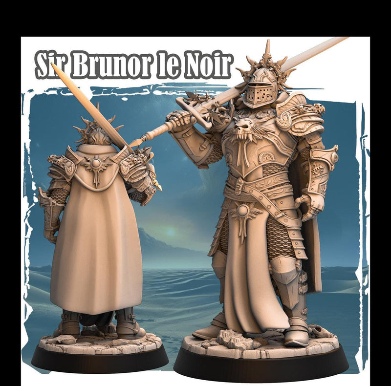 Human Paladin Fighter Sword & Full Platmail |Miniature | 28mm, 32mm, 54mm,75mm,100mm Scales | Pathfinder Figure | DnD | Figurine unpainted | - Only-Games