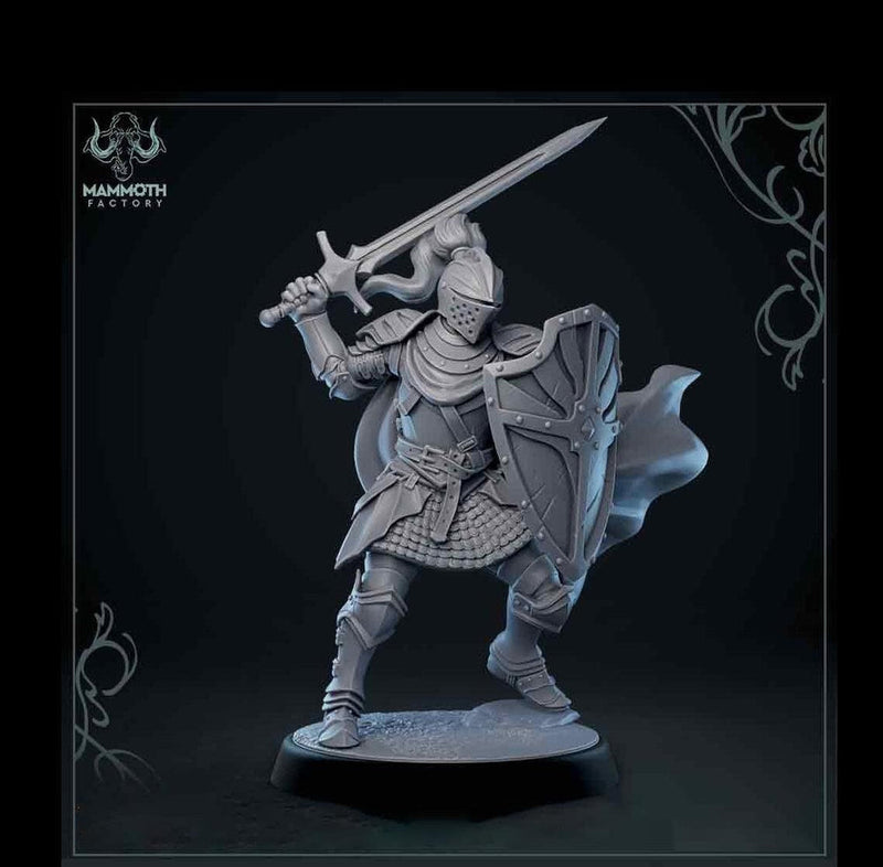 Human Paladin Fighter Sword & Shield | Miniature | 28mm, 32mm, 54mm,75mm, 100mm Scales | Pathfinder Figure | DnD | Figurine unpainted | - Only-Games