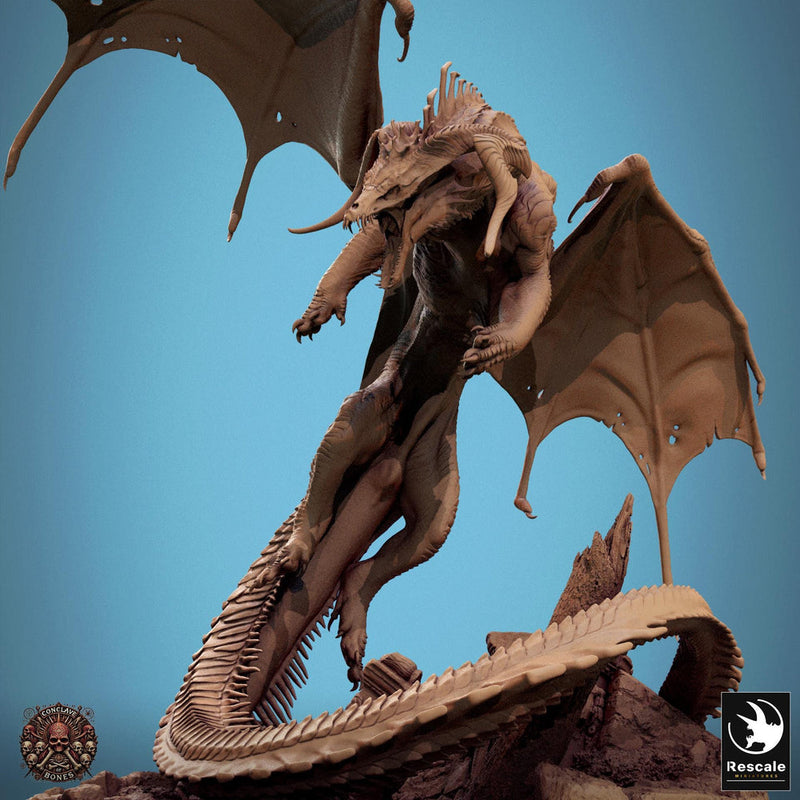 Chromatic Black Dragon (4 sizes) D&D Miniature | 200mm Wing Span, 183mm Height | Resin Figure Dungeons and Dragons 5e Pathfinder |Great gift - Only-Games