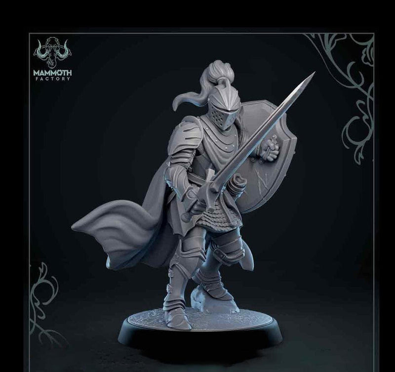 Human Paladin Fighter Sword & Shield | Miniature | 28mm, 32mm, 54mm,75mm, 100mm Scales | Pathfinder Figure | DnD | Figurine unpainted | - Only-Games