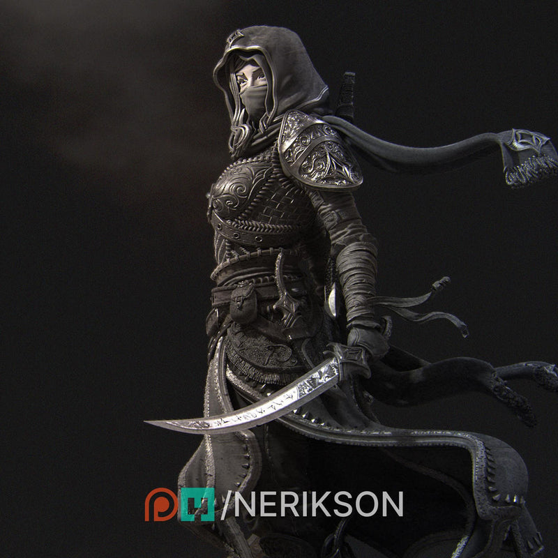 Human Female Rogue, Assassin, also No Mask PC / NPC DnD, Unpainted | 6 Sizes/Scales - Only-Games